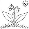 Kolorowanka — konwalia