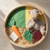 Zdjęcie tacy sensorycznej — pole