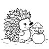 Kolorowanka – Jeż