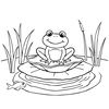 Kolorowanka — żabka na lilijce