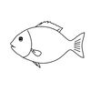 Kontur ryby do naklejania łusek