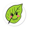 Naklejka: zielony listek (Do recyklingu)
