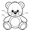 Kolorowanka: Części ciała misia — nauka nazw