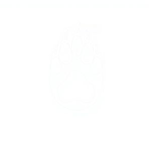 Szablon: Łapka misia (stempel)