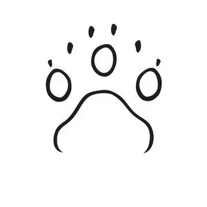 Szablon: Odcisk łapy niedźwiedzia