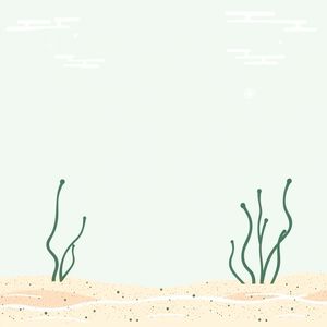 Podkład do pracy - morskie dno (A4)