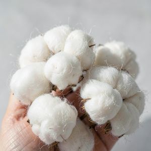 Tekstura puszystej waty - zbliżenie