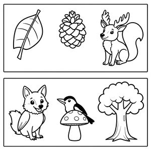 Kolorowanki — Leśne słówka