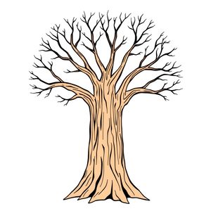 Pień drzewa — szablon do plakatu