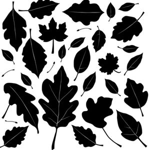 Szablony liści do wycięcia