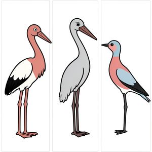 Duże ilustracje ptaków — bocian, żuraw, jaskółka