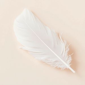 Karta dotykowa — Piórko (zdjęcie referencyjne)