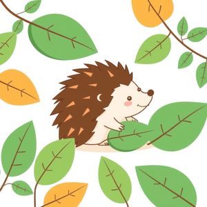 Karta: Jeż — flashcard