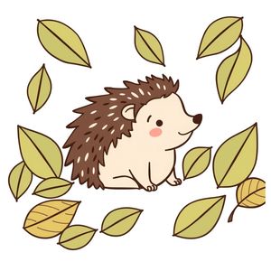 Karta: Jeż — flashcard