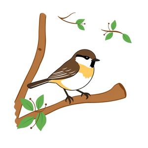 Karta: Ptak — flashcard