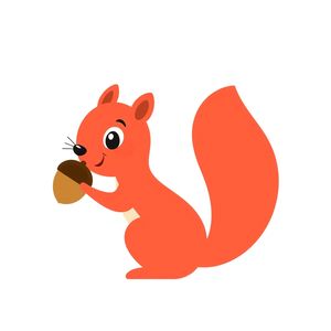 Karta: Wiewiórka — flashcard