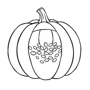 Kolorowanka: Dynia z nasionami