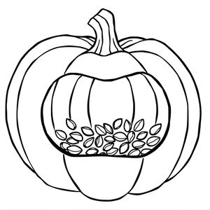 Kolorowanka: Dynia z nasionami