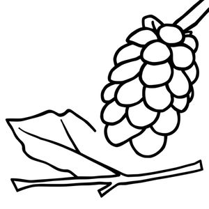 Kolorowanka: Liść i szyszka