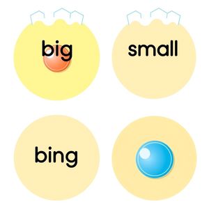 Etykiety do miseczek (duży / mały / czerwony / niebieski)