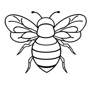 Kontur pszczółki — duży szablon do druku