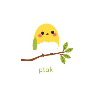 Karta: ptak (flashcard)