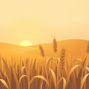 Pole zboża — ilustracja do wprowadzenia