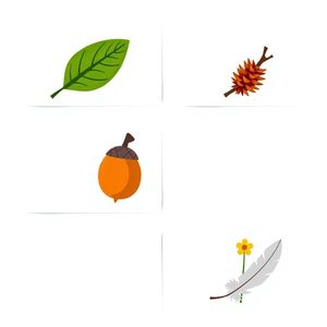 Karty obrazkowe — Zebrane przedmioty (zestaw 6)