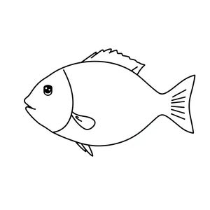 Kontur ryby do naklejania łusek