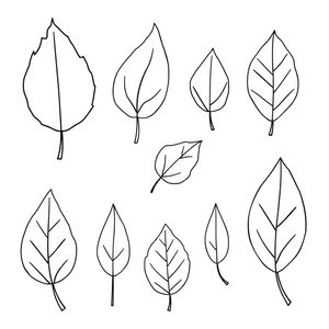 Szablony papierowych liści