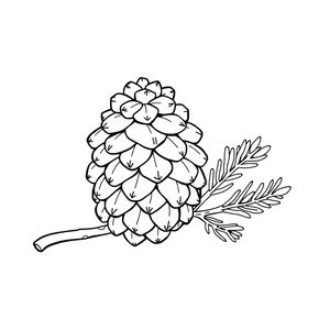 Kolorowanka: szyszka i gałązka