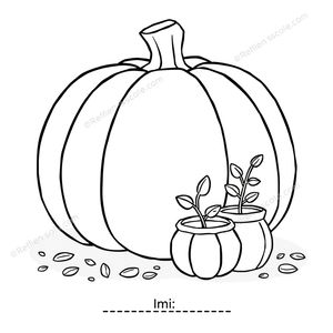 Kolorowanka: dynia i nasionka