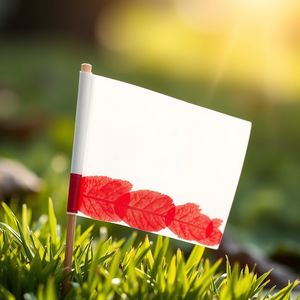 Obrazek demonstracyjny — Przykładowa gotowa flaga