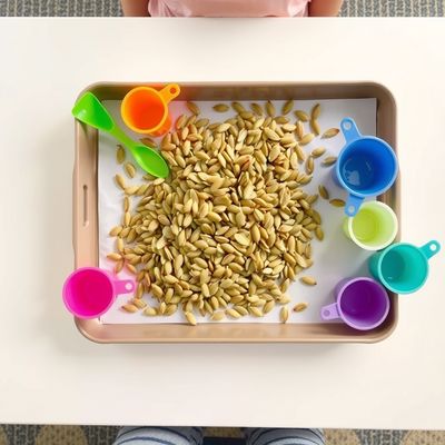 Stacja sensoryczna z nasionami (tacka z przyborami)