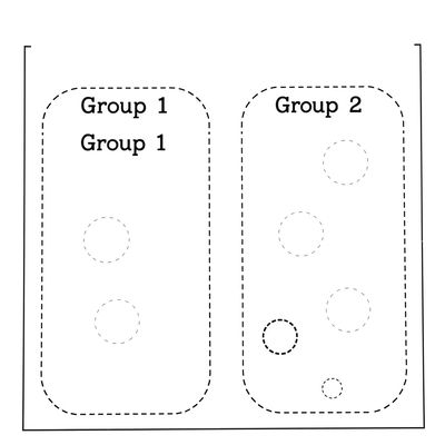Szablon kartonika — puste pola