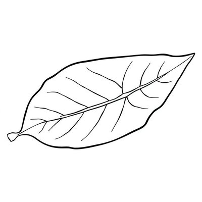 Kolorowanka: Liść z fakturą