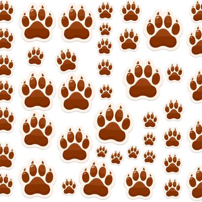 Arkusz naklejek: Łapki misia