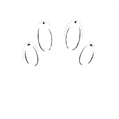 Szablon: Odcisk łapy niedźwiedzia