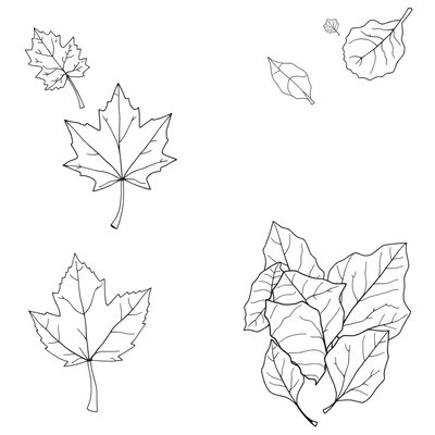 Szablony do pocieranek i odbitek liści (A4)