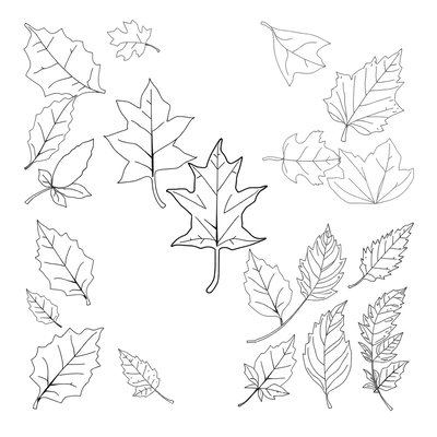 Szablony do pocieranek i odbitek liści (A4)