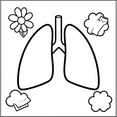 Kolorowanka: Kontury płuc z prostymi ikonami
