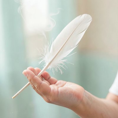 Puchowy oddech — piórko z bliska