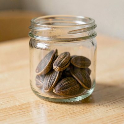 Nasionko w przezroczystym pojemniku