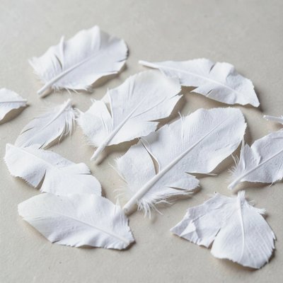 Kawałki białego papieru — piórka do kolażu