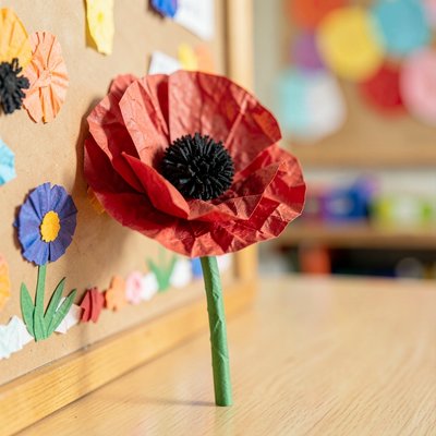 Zdjęcie przykładowe: Gotowy mak do pokazania