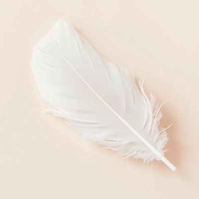 Karta dotykowa — Piórko (zdjęcie referencyjne)