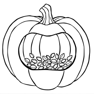 Kolorowanka: Dynia z nasionami