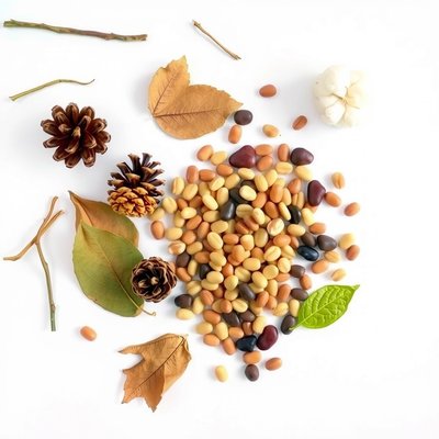 Elementy naturalne — flatlay