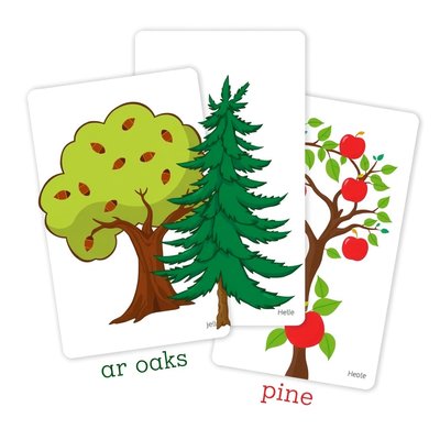 Karty z różnymi drzewami