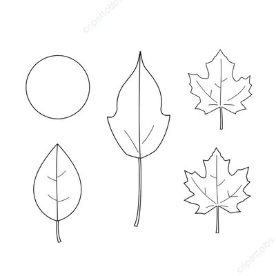 Szablony liści do wycięcia